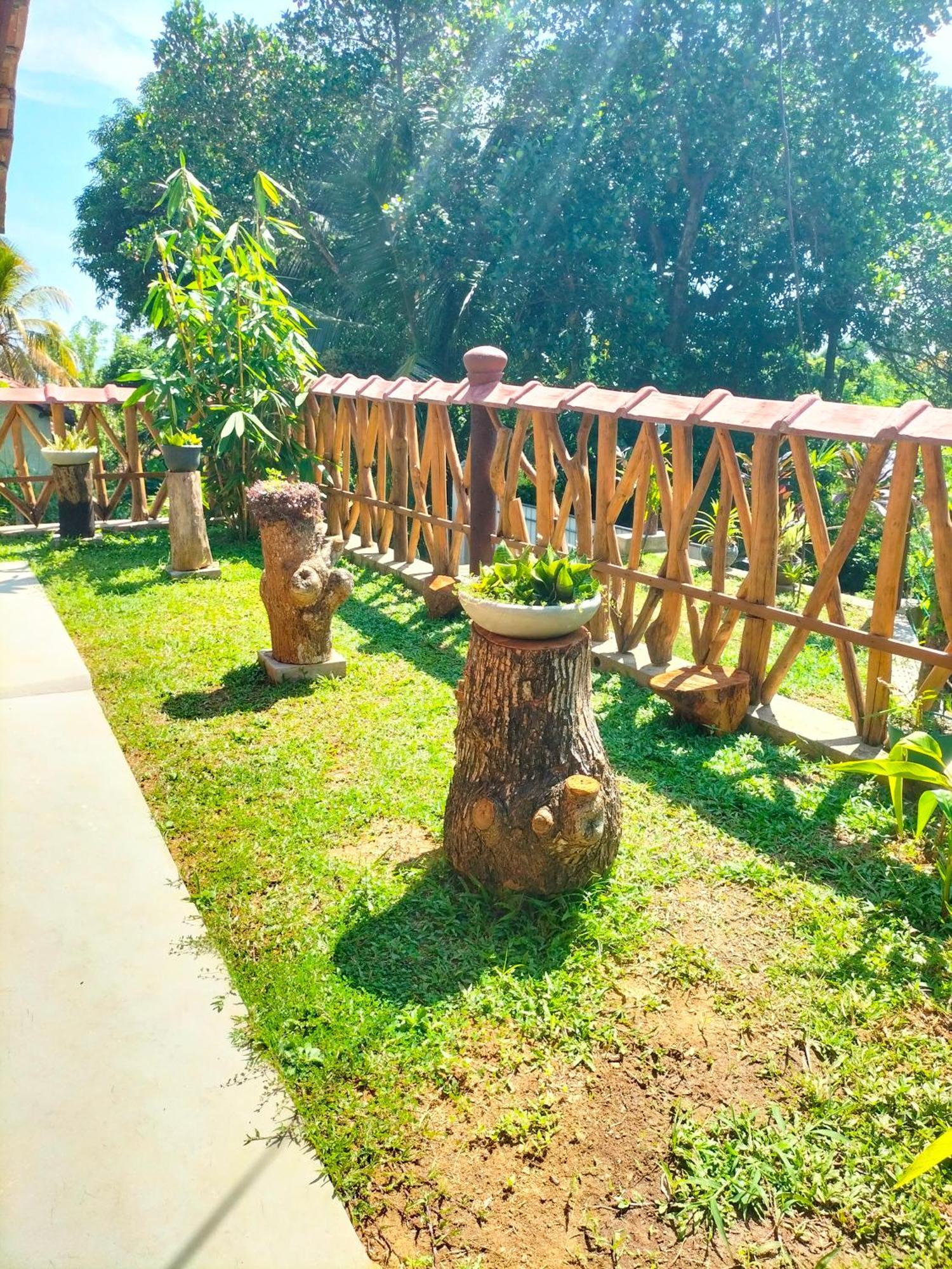 Willa Blue Ocean Tree House Hiriketiya Dickwella Zewnętrze zdjęcie